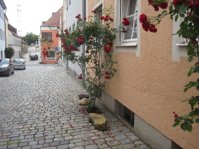 Altstadt Freising